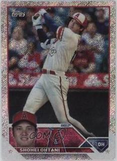 Shohei Ohtani