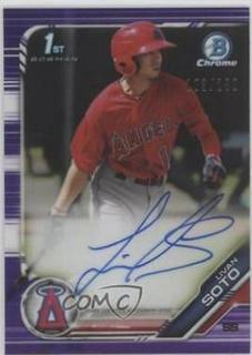 Livan Soto