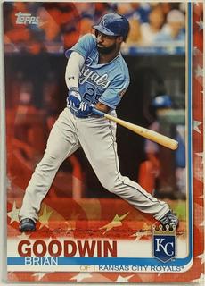 Brian Goodwin
