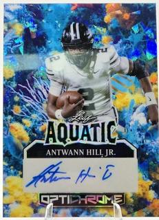 Antwann Hill Jr.