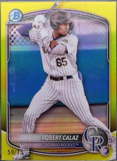 Robert Calaz