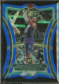 PJ Washington Jr.