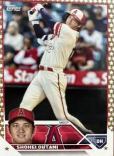 Shohei Ohtani