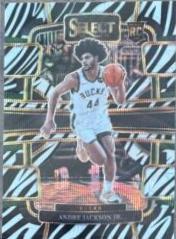 Andre Jackson Jr.