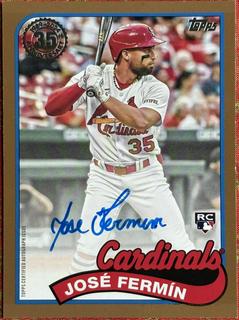 Jose Fermin