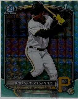 Johan De Los Santos