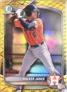 Walker Janek