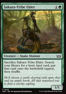 Sakura-Tribe Elder