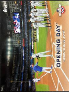 Toronto Blue Jays