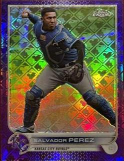 Salvador Perez