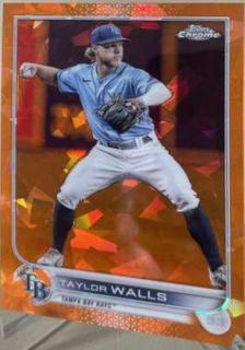 Taylor Walls