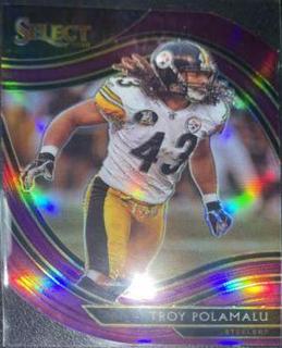 Troy Polamalu