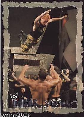 Spike Dudley #25 Wrestling Cards 2004 Fleer WWE Chaos