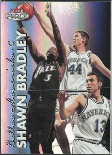 Shawn Bradley