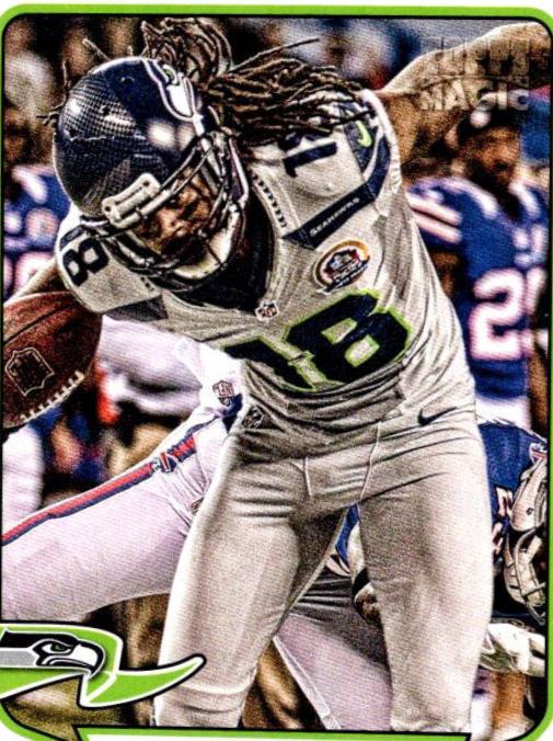 Sidney Rice #209