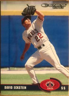David Eckstein