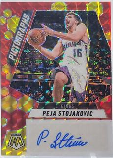 Peja Stojakovic