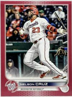 Nelson Cruz