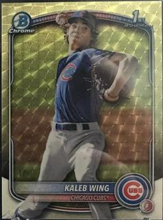 Kaleb Wing