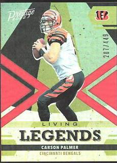 Carson Palmer
