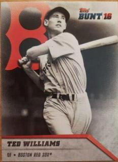 Ted Williams