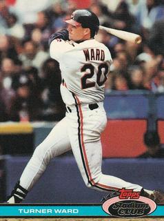 Turner Ward