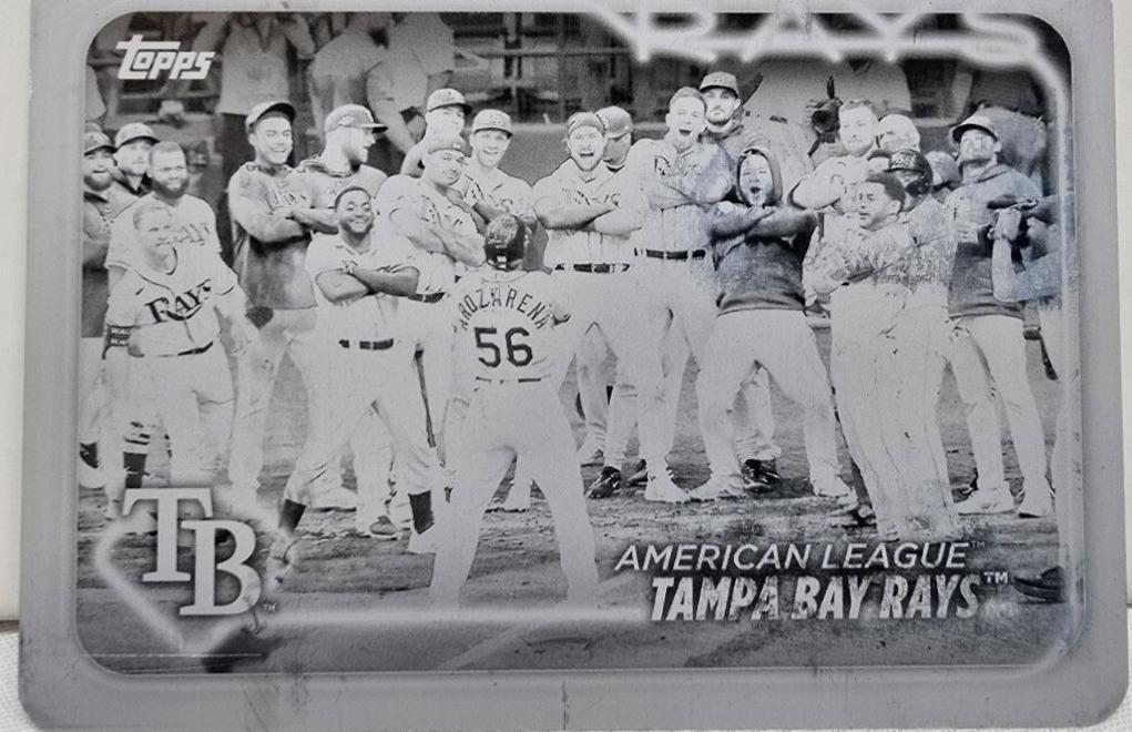 Tampa Bay Rays [Printing Plate] #211