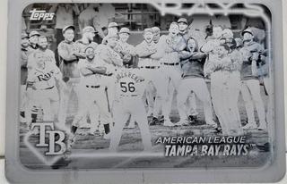 Tampa Bay Rays
