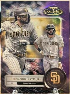 Fernando Tatis Jr.