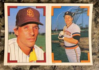 Tim Flannery #112 / 273