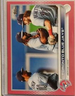 Toronto Blue Jays