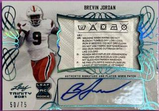 Brevin Jordan