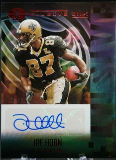 Joe Horn