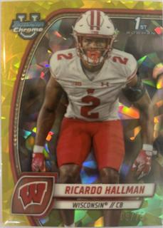 Ricardo Hallman