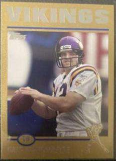 Gus Frerotte