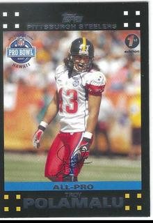 Troy Polamalu