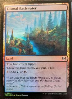 Dismal Backwater
