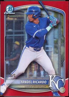 Yandel Ricardo
