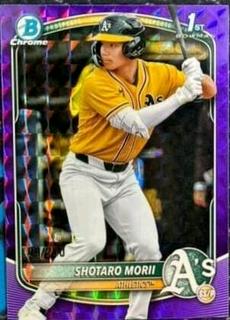 Shotaro Morii
