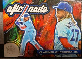 Vladimir Guerrero Jr.