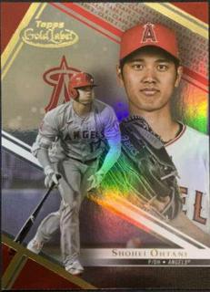 Shohei Ohtani
