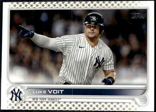 Luke Voit
