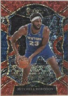 Mitchell Robinson