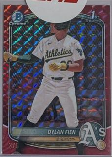 Dylan Fien