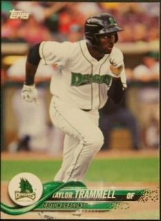 Taylor Trammell