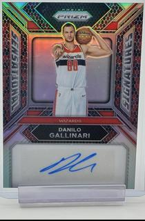 Danilo Gallinari