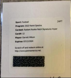 Garrett Wilson