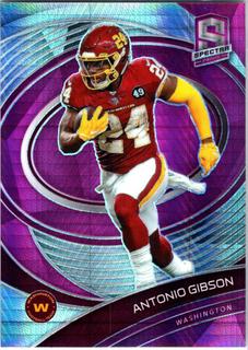 Antonio Gibson