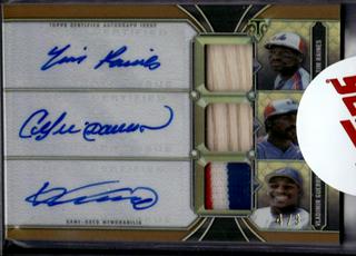 Tim Raines, Andre Dawson, Vladimir Guerrero