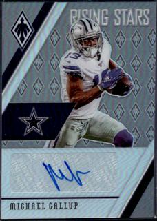 Michael Gallup